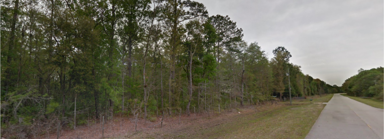 Secluded Wooded Retreat in a Charming 5.69 Acre Land in Brunswick, GA