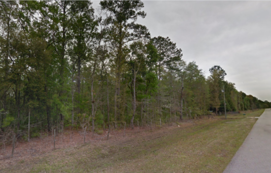 Secluded Wooded Retreat in a Charming 5.69 Acre Land in Brunswick, GA