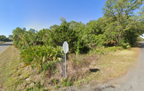 1.03 Acres of Endless Potential in Homosassa, FL – Minutes from Crystal River & Nature Attractions!