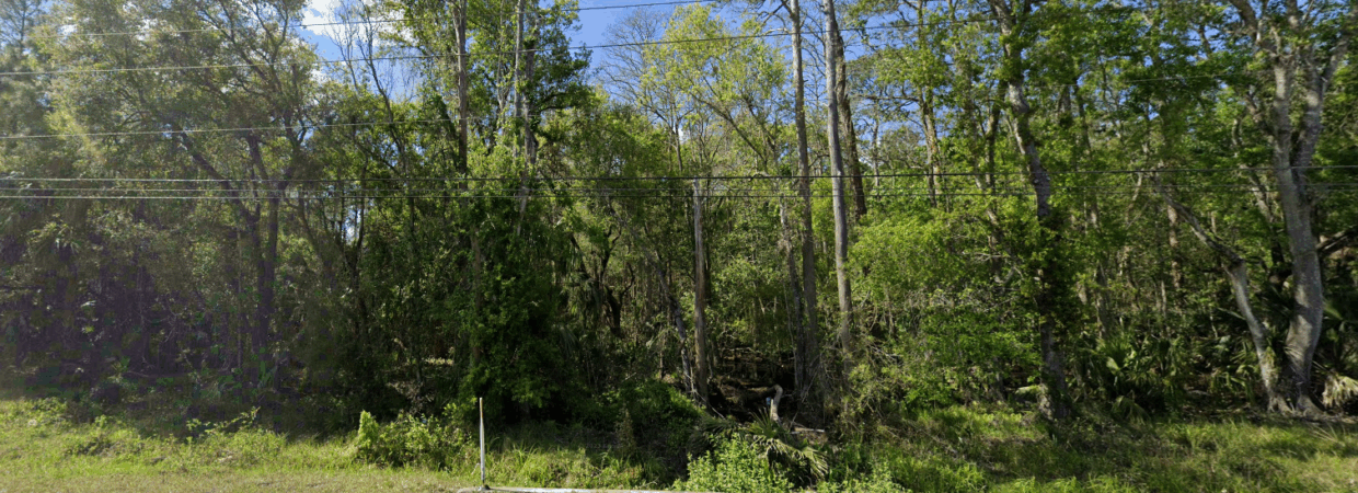 Nature Lover’s Dream: 2.50 Acres in New Smyrna Beach with Lake Ashby Park Just Minutes Away!
