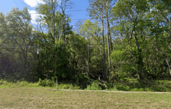 Nature Lover’s Dream: 2.50 Acres in New Smyrna Beach with Lake Ashby Park Just Minutes Away!