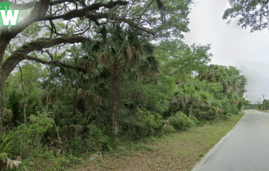Crystal River Dream — 14.94 Acres in Florida’s Nature Coast!