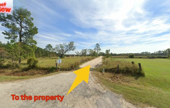13.52 Acres in Waycross, GA – No Restrictions, Build Freely Near Swamps, Parks & Outdoor Fun!