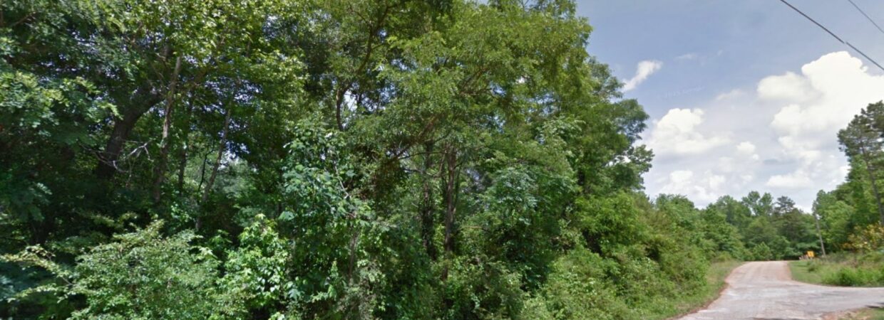6.38 Acres of Fun in Danielsville, Georgia – Your Big Backyard Adventure Starts Here!