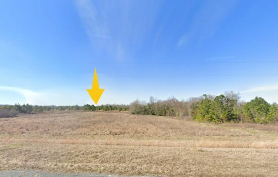 Wide 6.91 Acres of Freedom in Adrian, GA – No Zoning, No Limits, Just Pure Possibility!