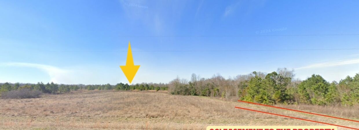 Wide 6.91 Acres of Freedom in Adrian, GA – No Zoning, No Limits, Just Pure Possibility!
