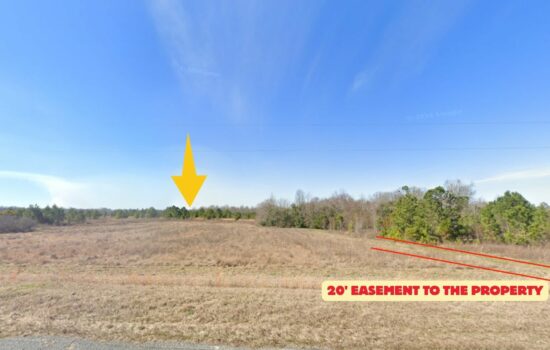 Wide 6.91 Acres of Freedom in Adrian, GA – No Zoning, No Limits, Just Pure Possibility!