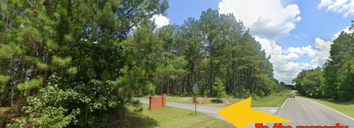 9.12 Acres of Freedom in Dublin, GA – No Zoning & Build Anything You Want
