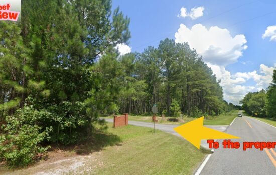 9.12 Acres of Freedom in Dublin, GA – No Zoning & Build Anything You Want