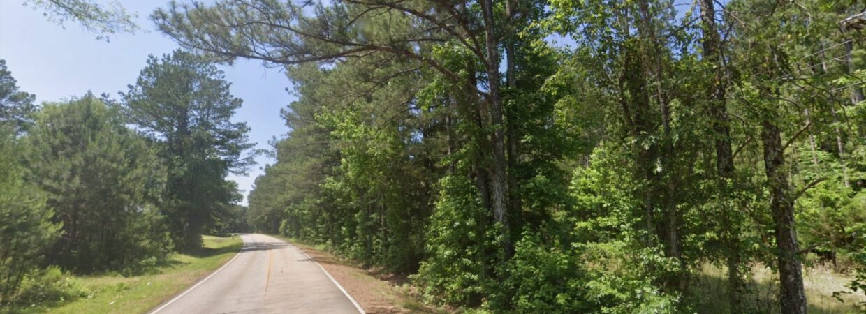 44.7 Acres in Elberton, GA – Build Your Dream Homestead Just Minutes from Lake Adventures!