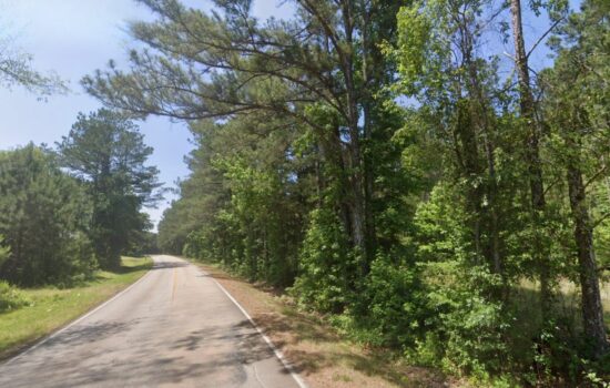 44.7 Acres in Elberton, GA – Build Your Dream Homestead Just Minutes from Lake Adventures!