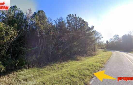 Peace & Privacy on 4 Wooded Acres – Girard, GA