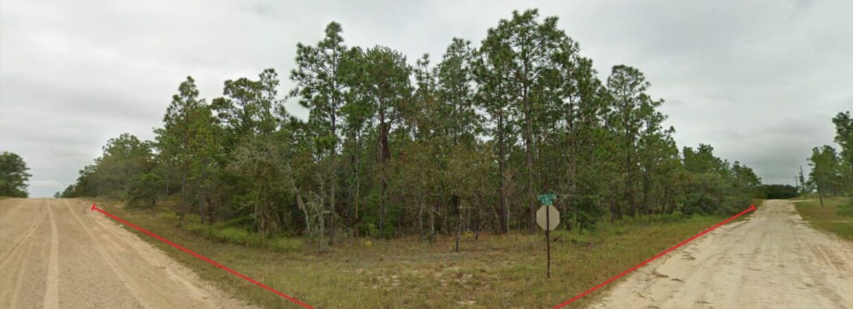 Room to Build in the Heart of Levy County — 1.25 Acres | Williston, Florida