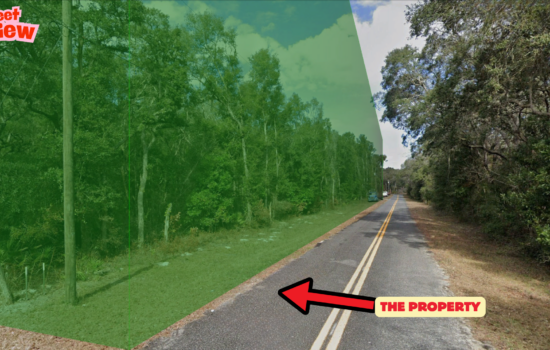 Private 5.69 Acre Homesite Near Manatee Springs – No HOA, Power in Front!