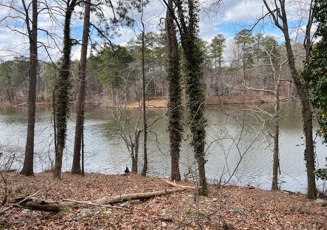 6.4 Acres in Union City, GA (Fulton County) — 2 Parcels Being Sold Together Near the Lake